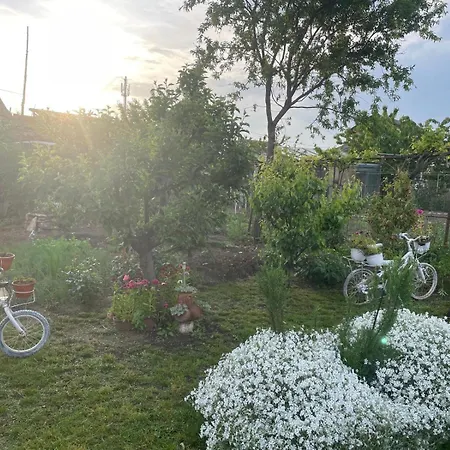 Căsuța