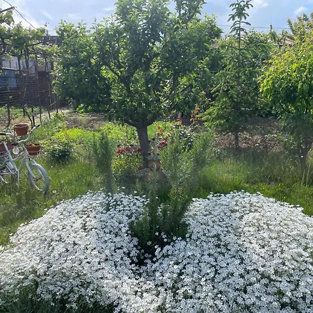 Casuta Două Mai