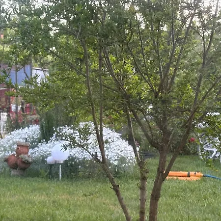 Case de vacanță Căsuța 2 Mai